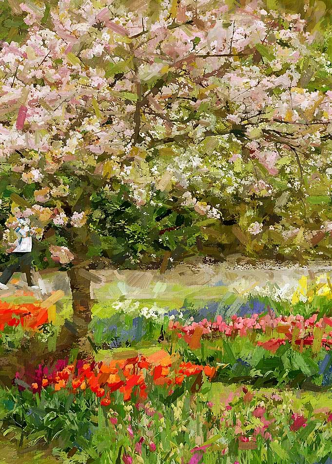 Cherry Blossom Spring