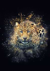 Javan leopard