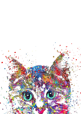 Peeking cat