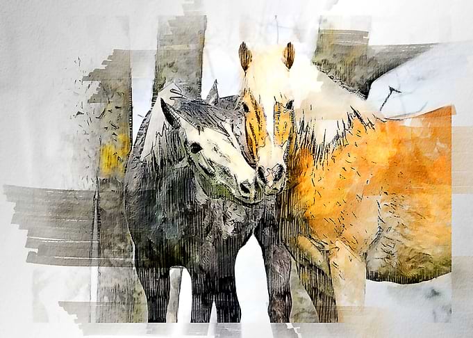 horses watercolor paintin