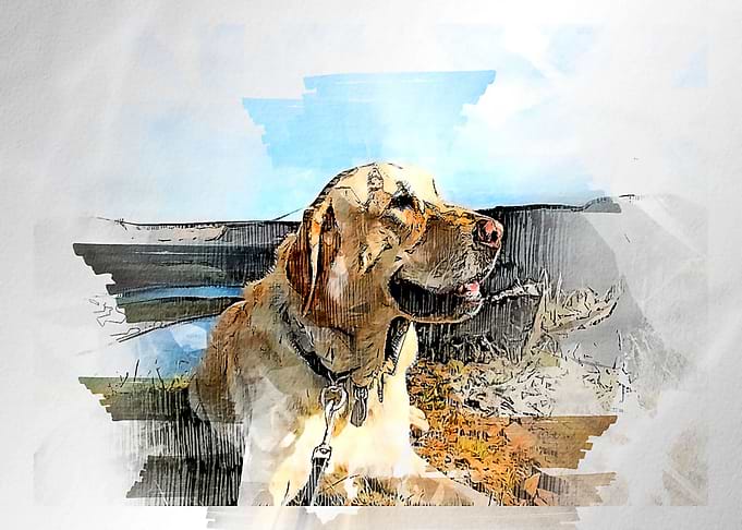 Watercolor dog