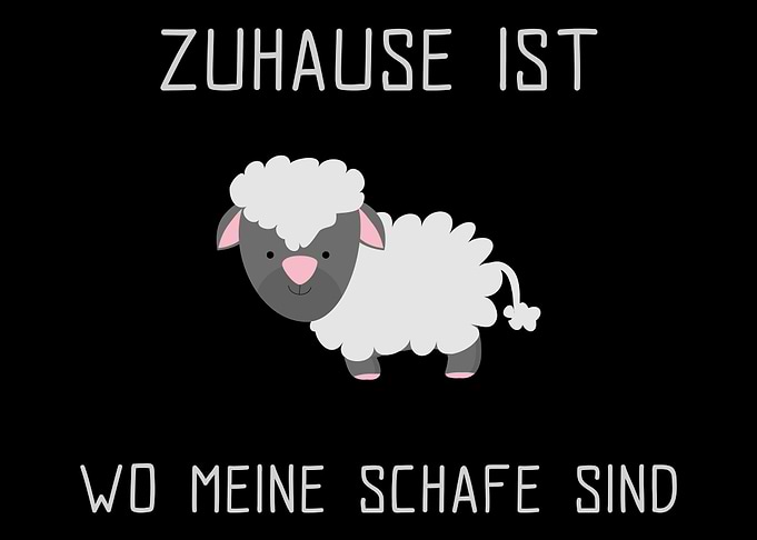 Schaf Design Schaf Fans