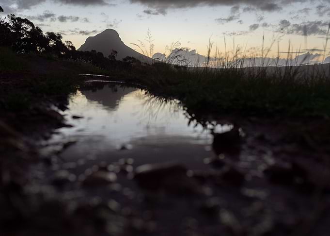 Forest 14 Cape Town