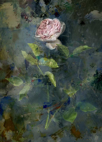 Melancholia