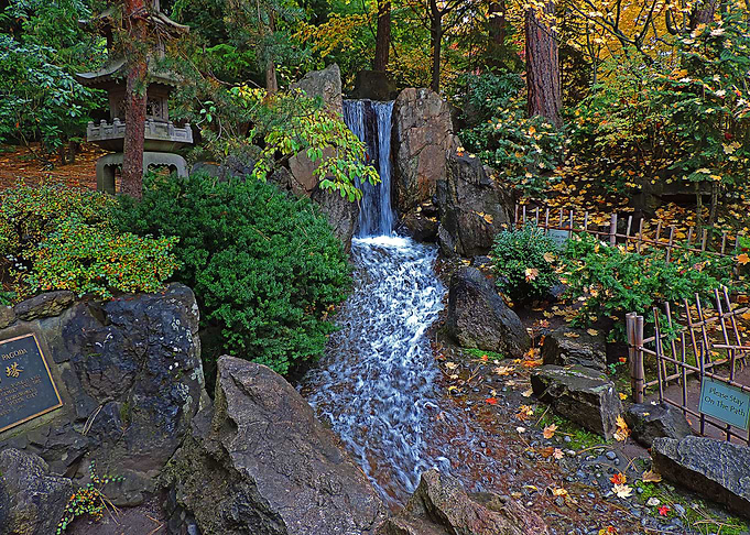 Nature