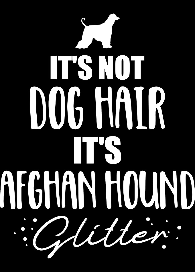 Afghan Hound