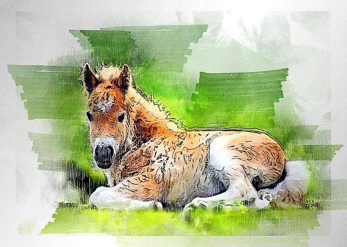 horses watercolor