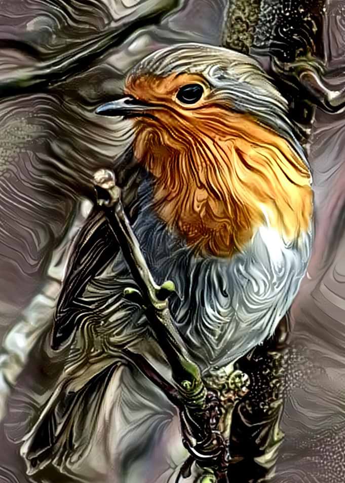 Birdy beauty