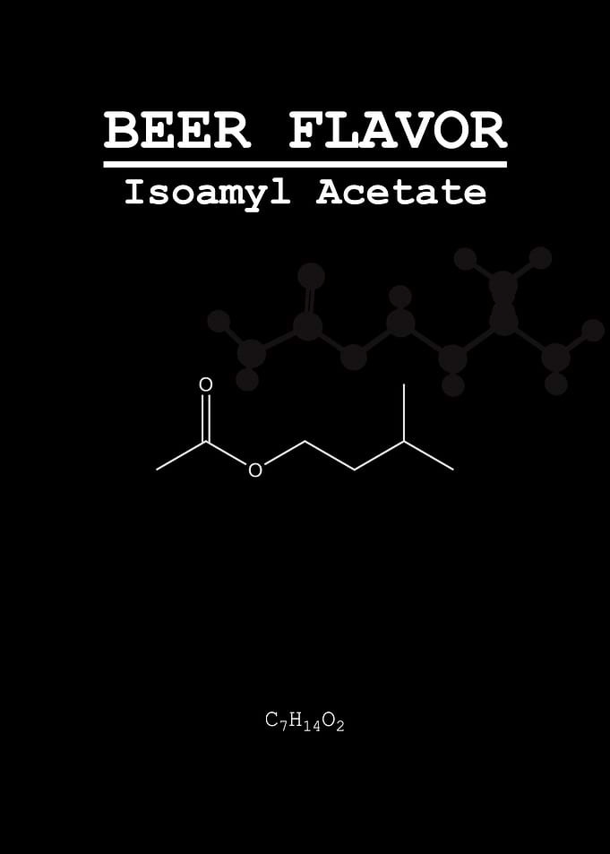 Beer Flavor Isoamyl