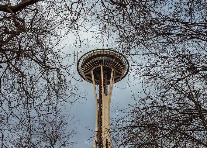Space Needle Thru Branches