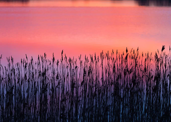 Nature Lake Sunset Landsca