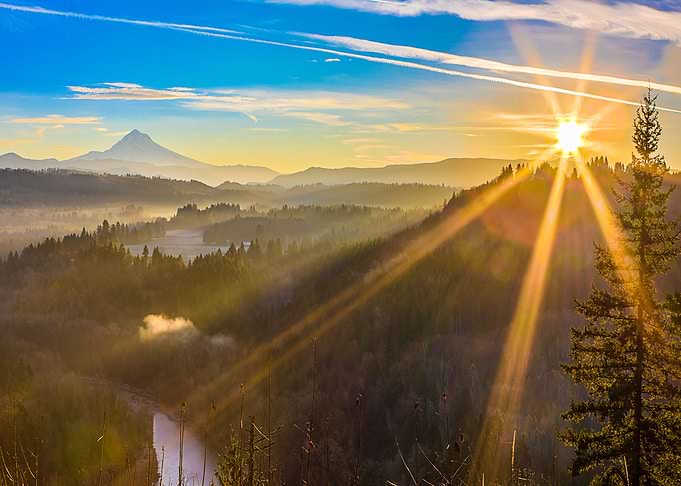Nature