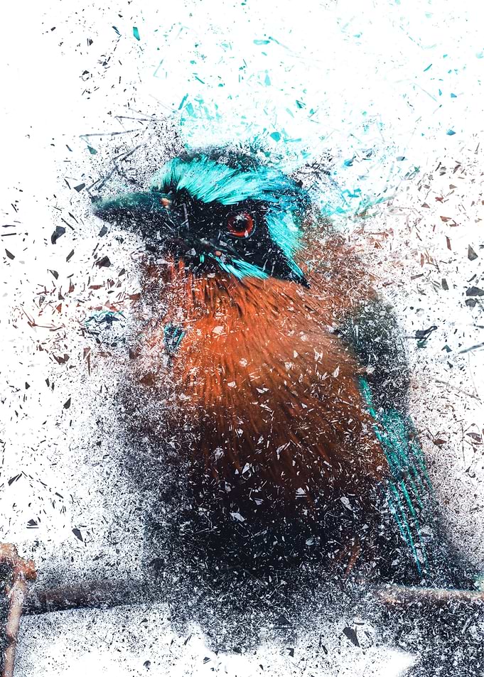 Shattered Blue Bird