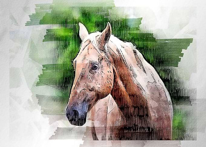 horses watercolor