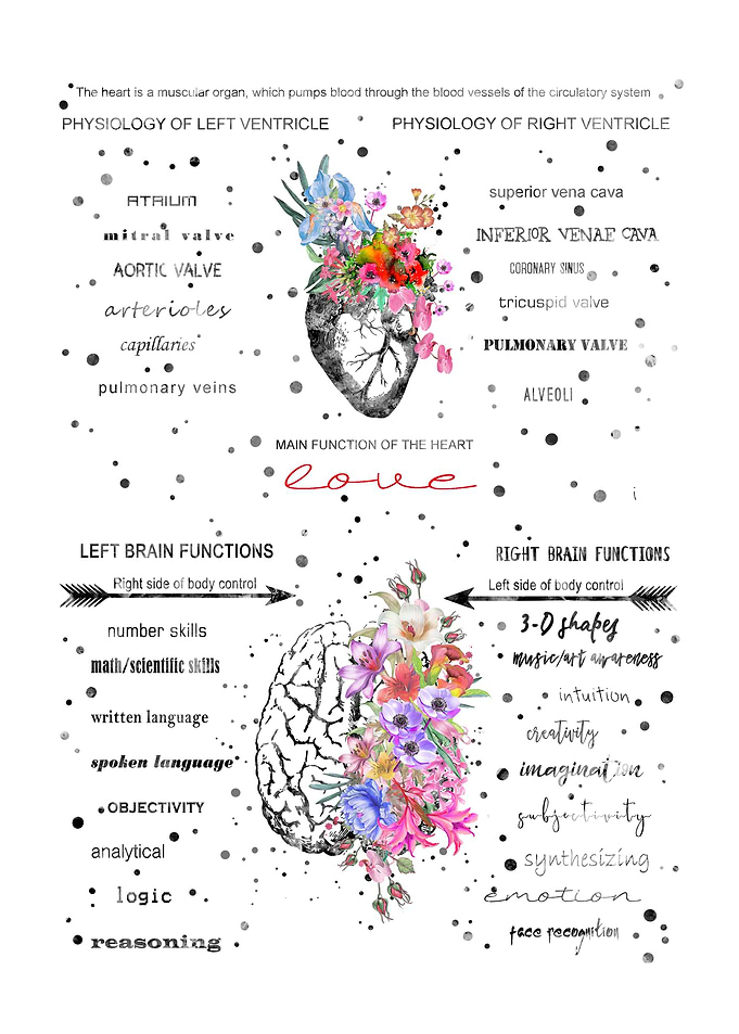 Heart and brain