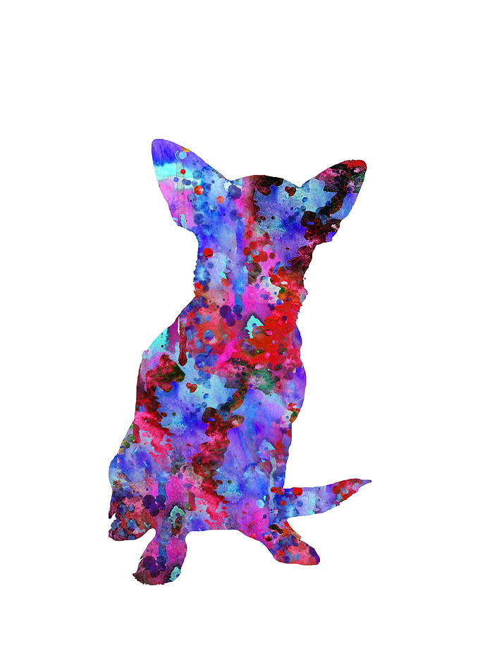 Chihuahua
