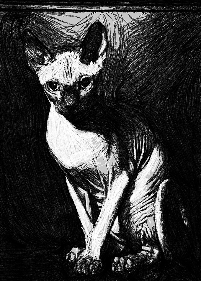 The Sphinx