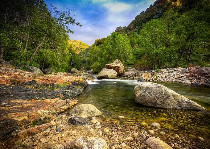 Nature