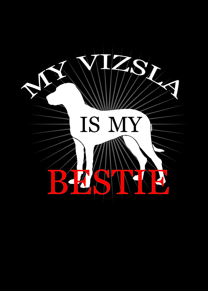 Dog Dogs Woof Vizsla