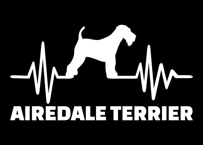 Airedale Terrier