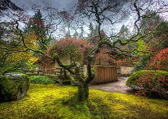 Nature