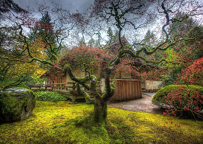 Nature