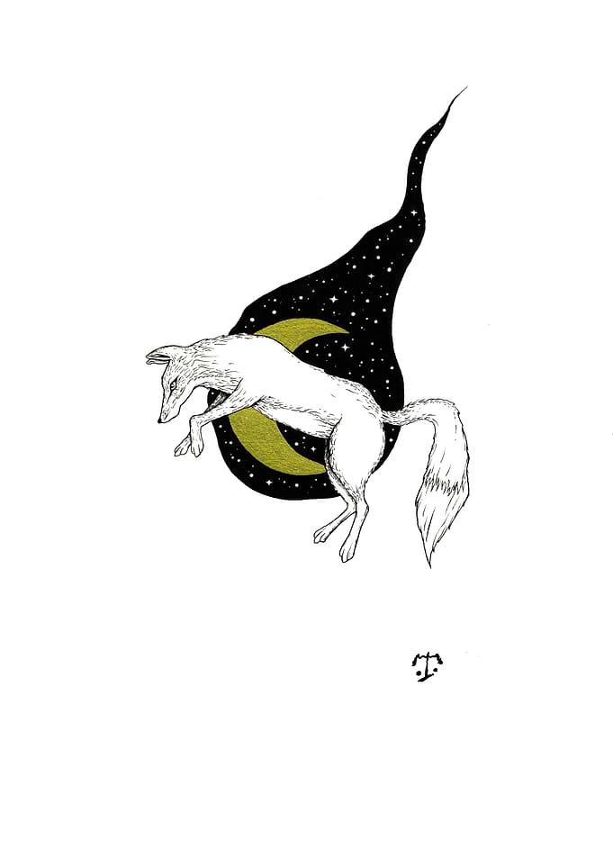 Night Fox