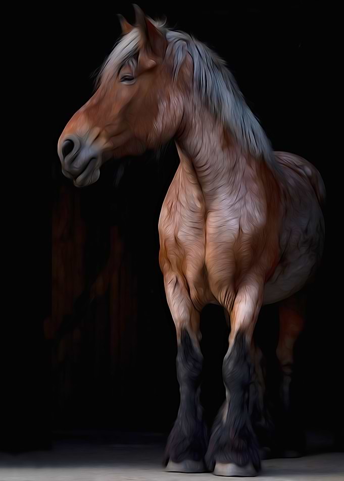 Chestnut Horse