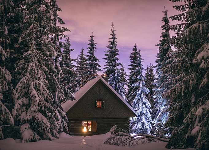 Cozy cabin the the woods