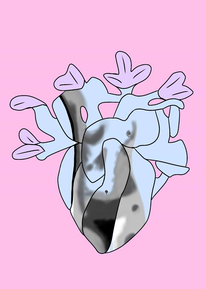 Laceys Heart