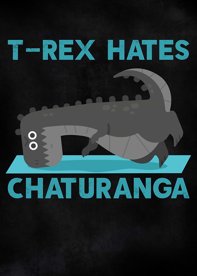 Funny T Rex Dino Yoga Pun