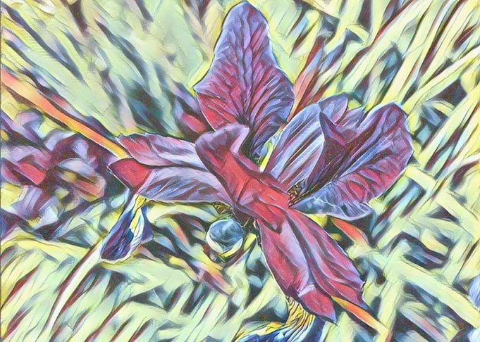 flower
