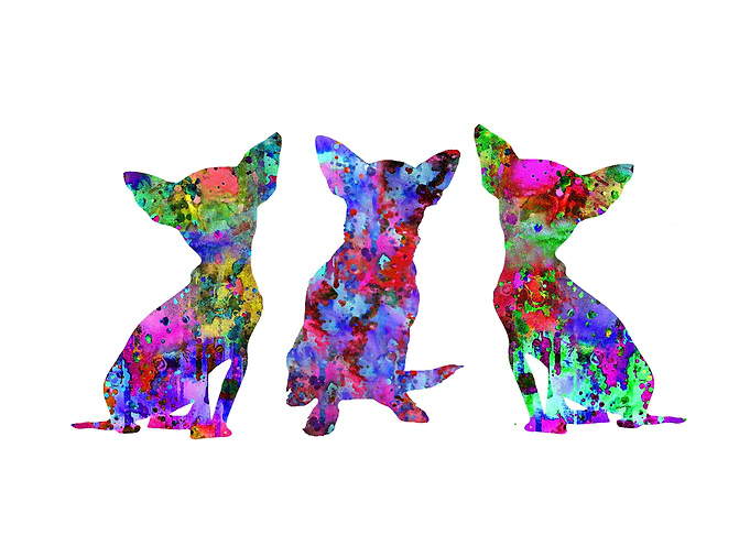 Chihuahua