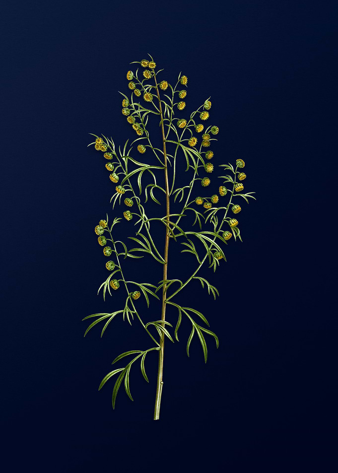 Vintage Branch Painting