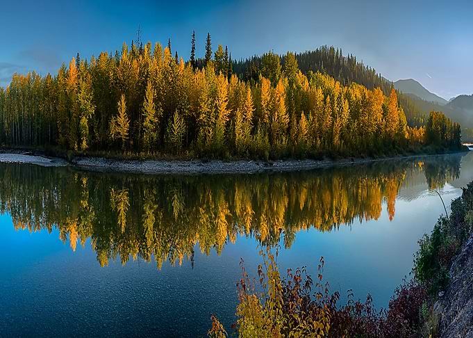 Nature