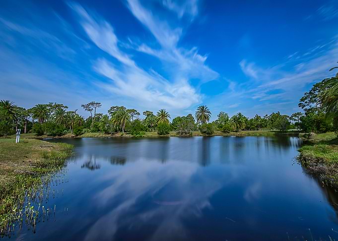 Nature