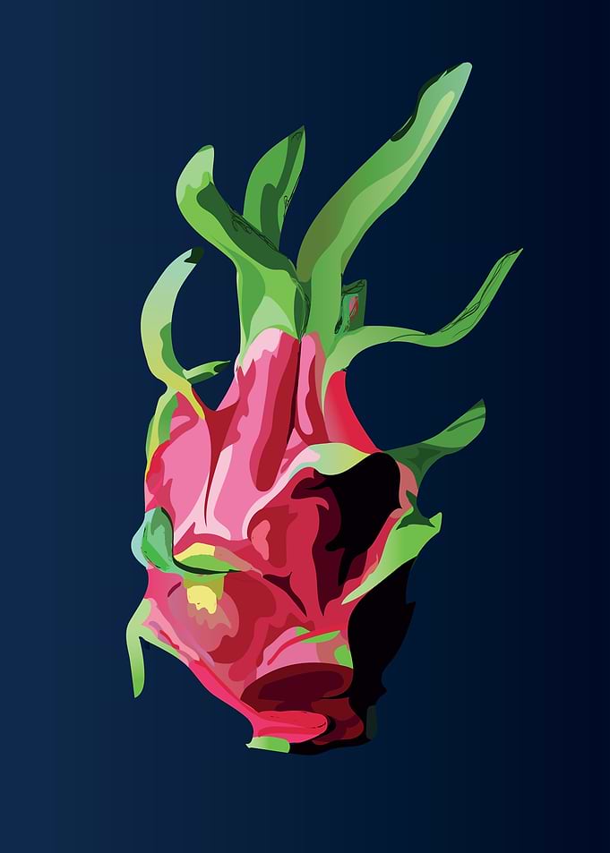 Dragon Fruit