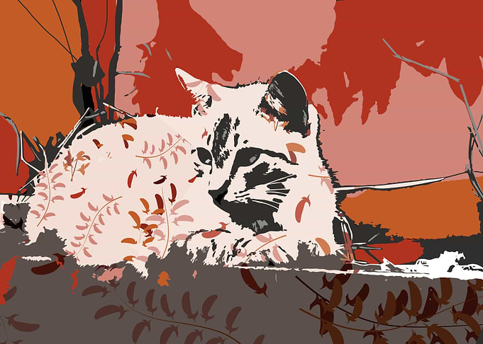 Fall Cat