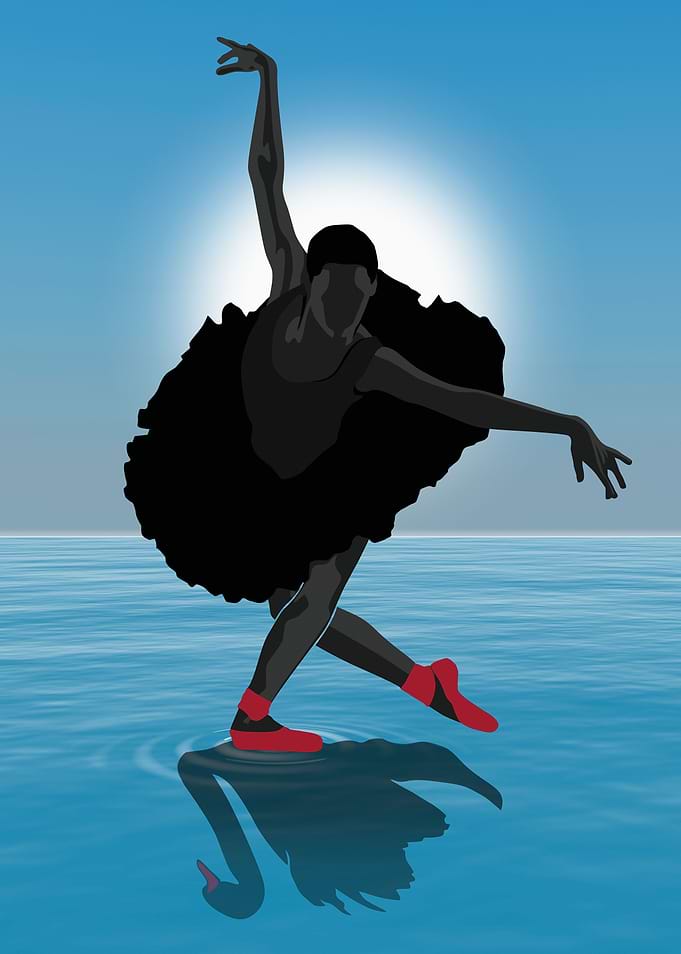 Black Swan Dancer