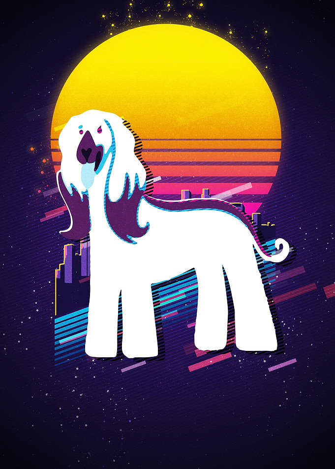 Afghan Hound