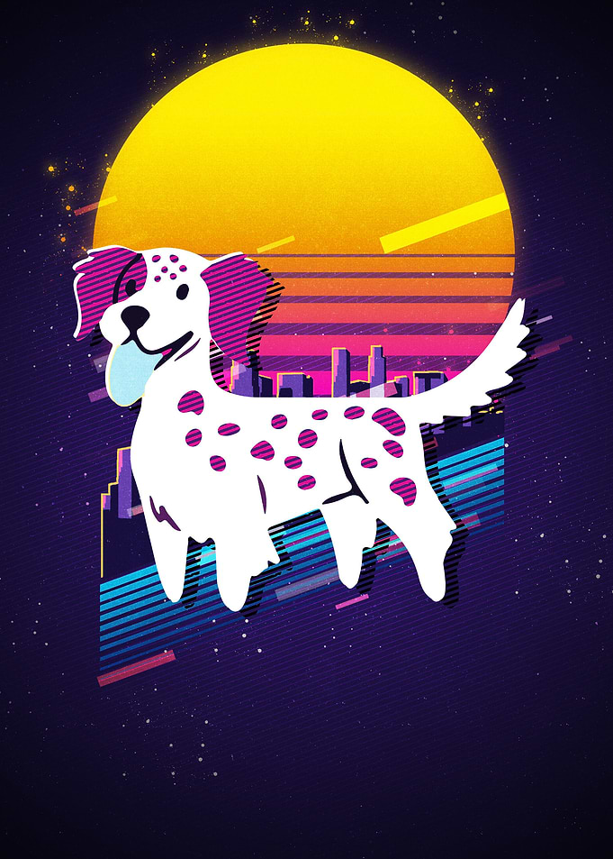 English Setter