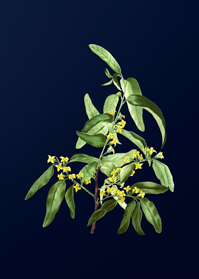 Vintage Branch Painting