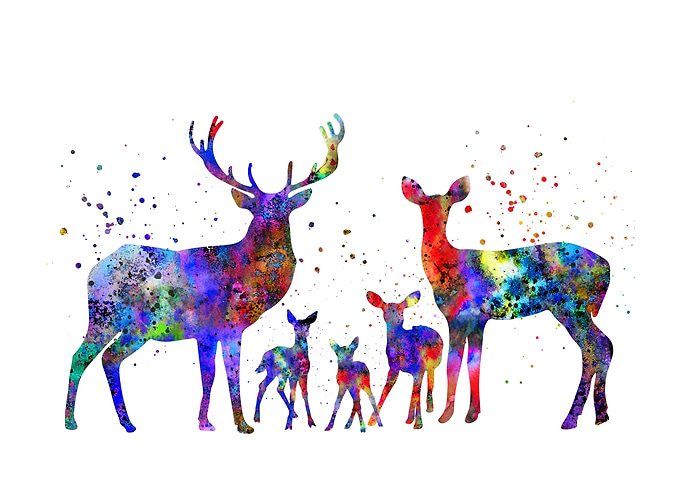 Deer family