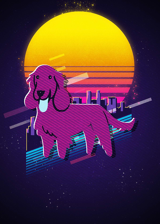 Irish Setter