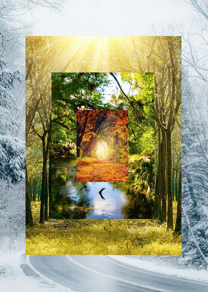 Four Seasons