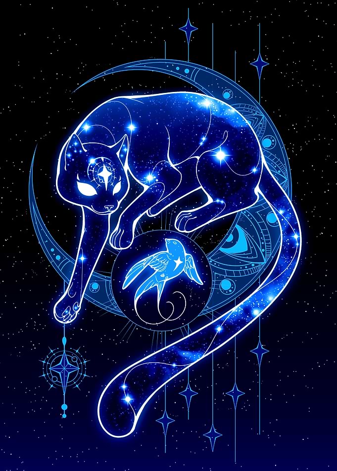 North Star and a Stowaway