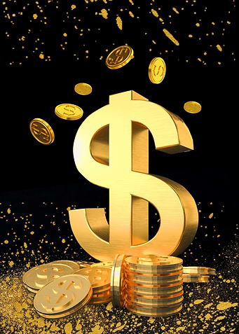 Money Dollar Coins
