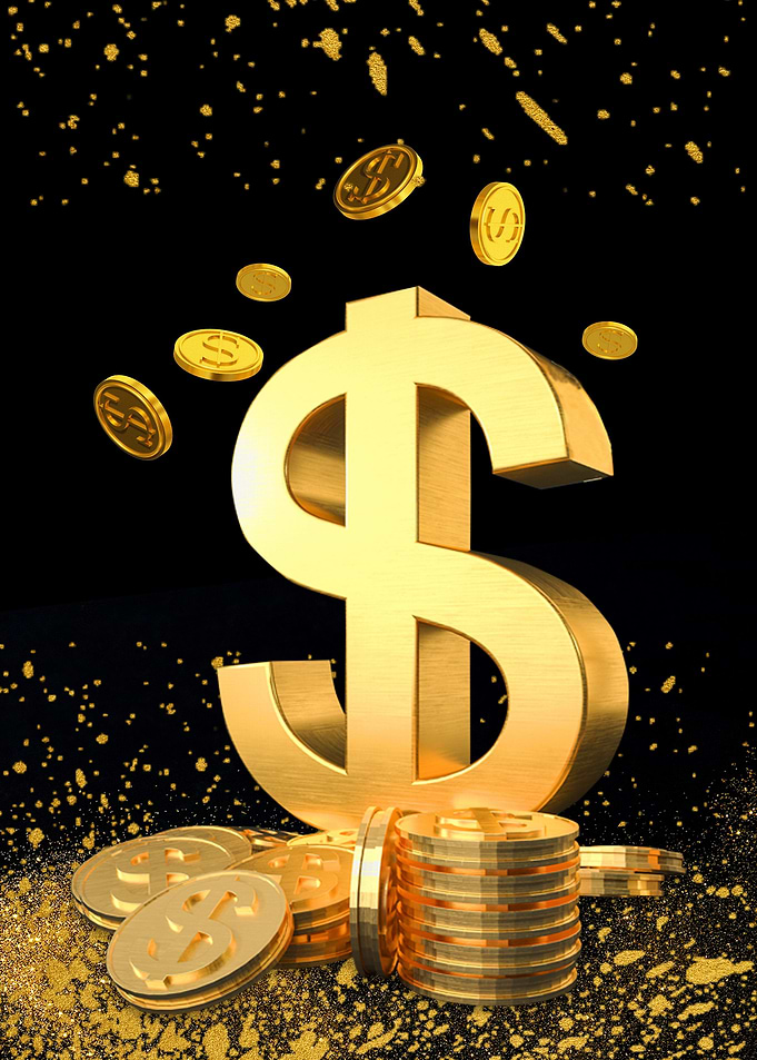 Money Dollar Coins