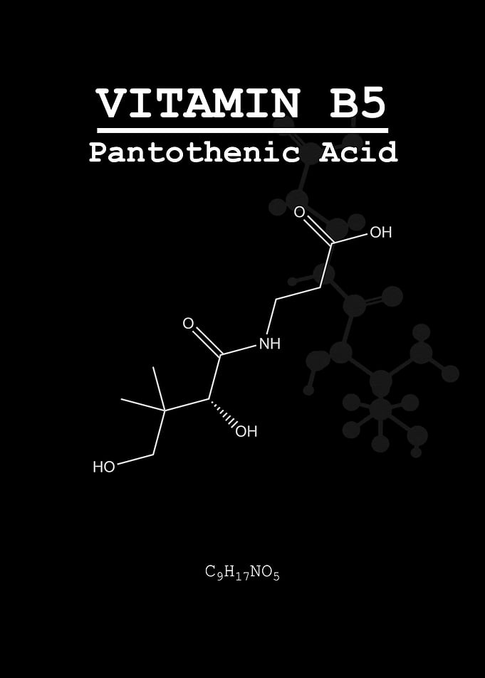 Vitamin B5 Pantothenic
