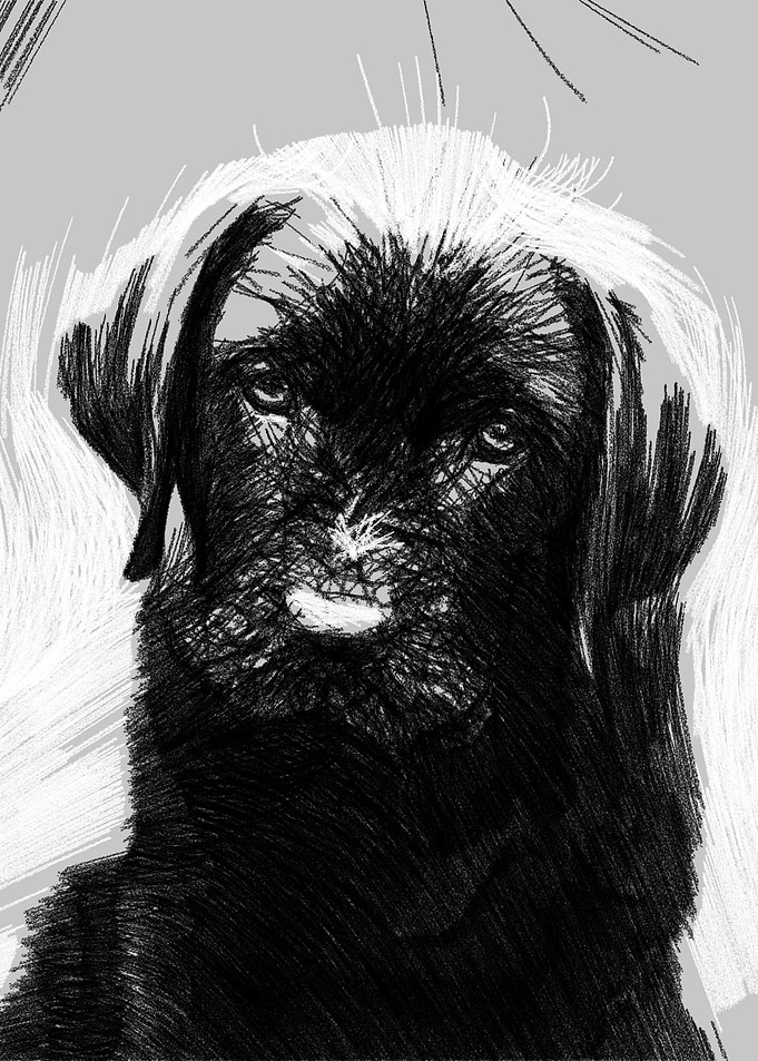 Puppy